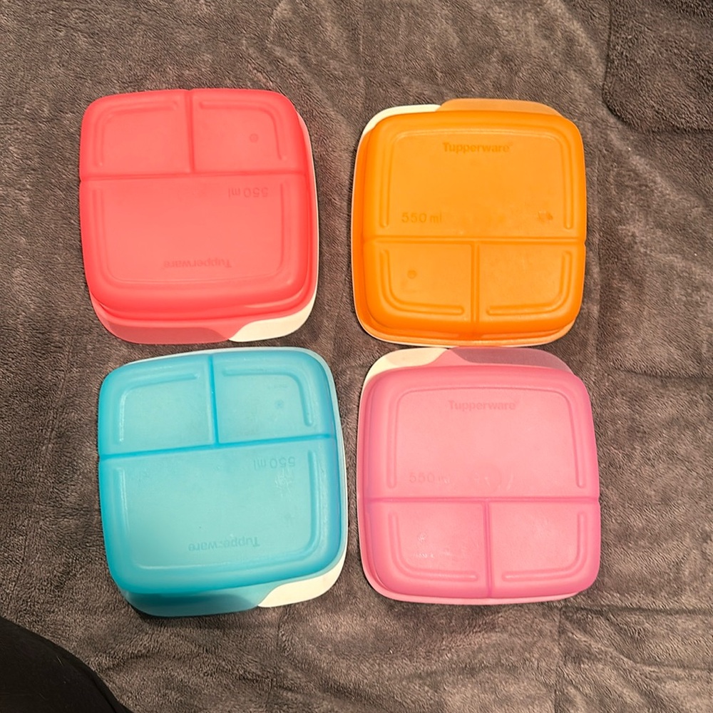 Tupperware lunch containers
